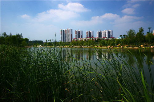 河南工程監理公司