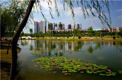 河南工程監理 河南工程監理